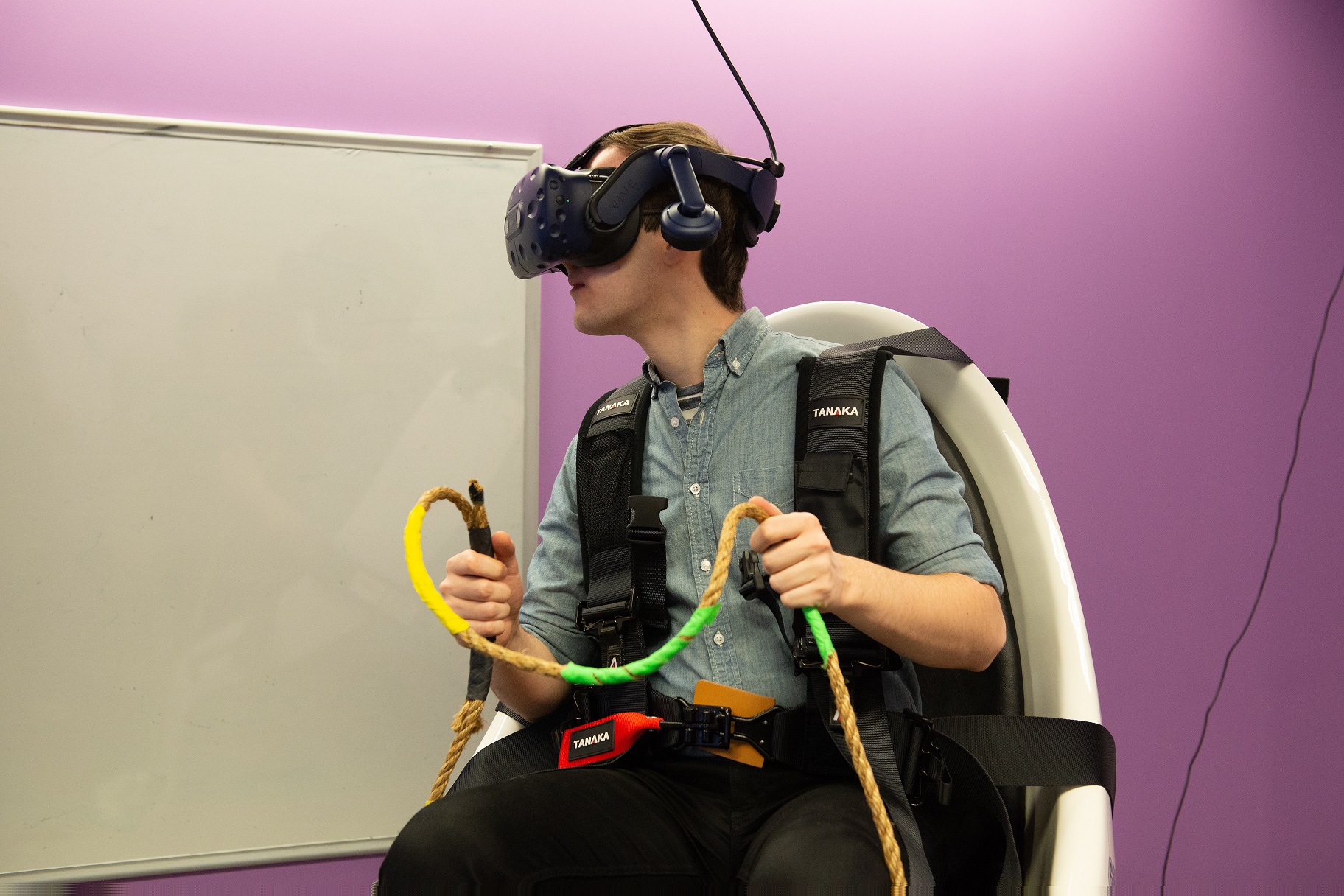 Pegasus VR